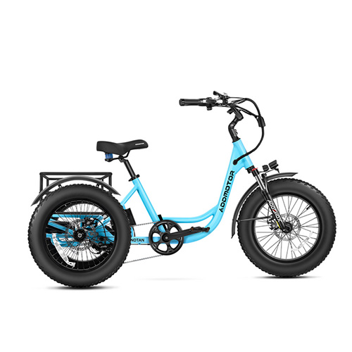 Early Bird Sale | $700 Off All Terrain Fat Tire Trike