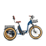 Get $200+ Freebies With E-trike Purchase Now